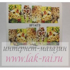 Слайдер XF1473