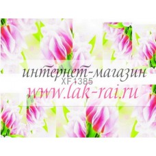 Слайдер на весь ноготок FX1385