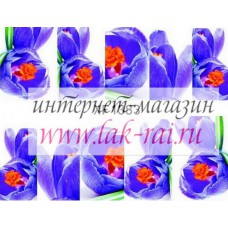 Слайдер на весь ноготок FX1383