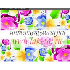Слайдер на весь ноготок FX1381