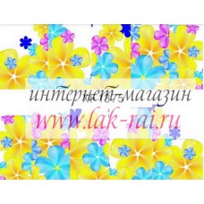 Слайдер на весь ноготок FX1375