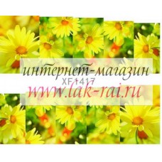 Слайдер на весь ноготок FX1417