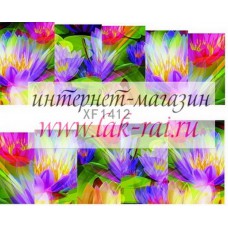 Слайдер на весь ноготок FX1412