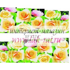 Слайдер на весь ноготок FX1374